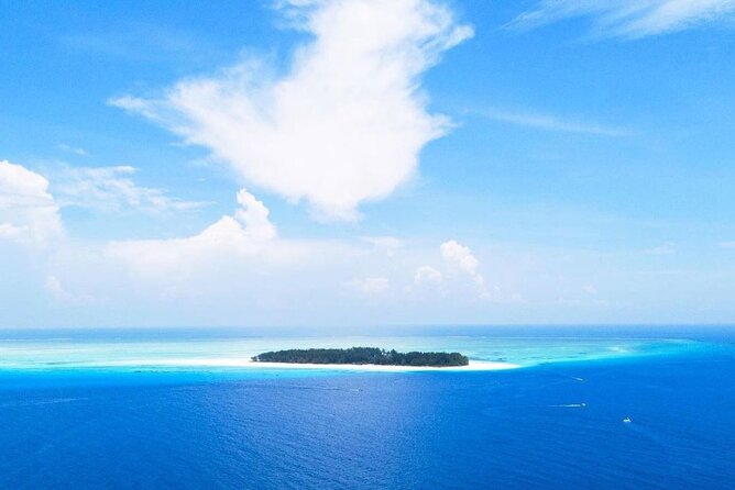 Mnemba Dolphin Tour, Clear Kayak, Cooking Class, Horse Riding - A busy Zanzibar day from 8:00 a.m.