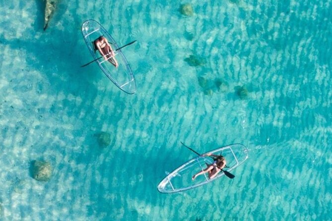 Mnemba Dolphin Tour, Clear Kayak, Cooking Class, Horse Riding - The main drawbacks to weigh carefully