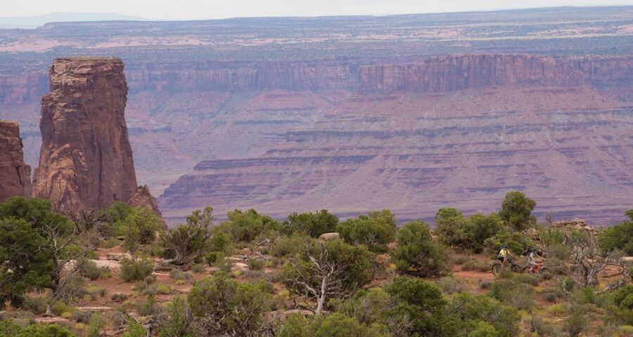 Moab: Dead Horse Point Singletrack Mountain Biking Tour - Meeting at Chile Pepper Bike Shop