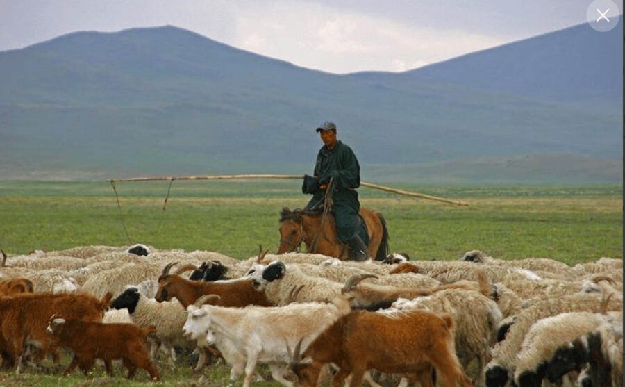 MONGOLIAN NOMADS: 2-Day Horse Trekking & Cow Milking Tour - The comfort checklist you should take seriously