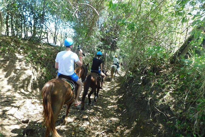 Monkey Encounter and Horse-Riding Tour in Puerto Plata - Leaving Puerto Plata for the countryside