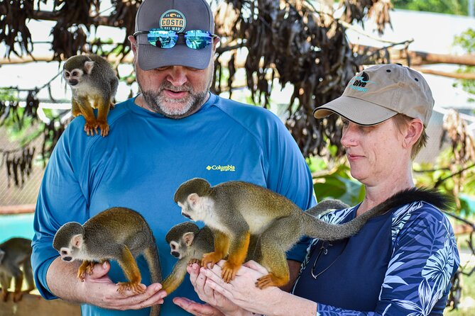 Monkey Encounter and Horse-Riding Tour in Puerto Plata - A Dominican lunch with familiar local dishes