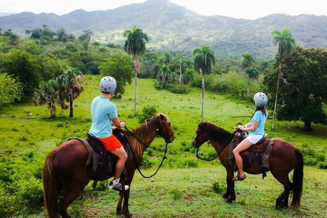 Monkey Encounter and Horse-Riding Tour in Puerto Plata - Colorful birds after the monkey encounter