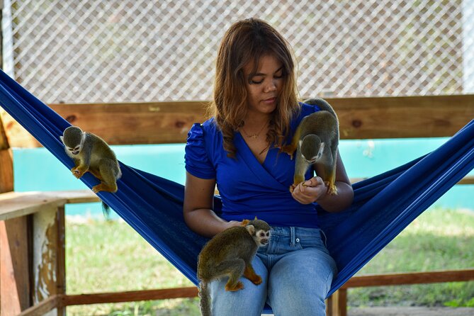 Monkey Encounter and Horse-Riding Tour in Puerto Plata - Who will enjoy this Puerto Plata tour