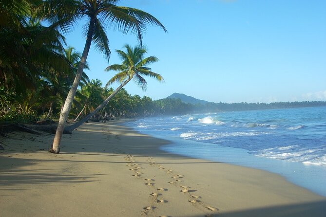 Montaña Redonda & Horseback Riding 2-in-1 Tour from Punta Cana - The ride at Playa Limón