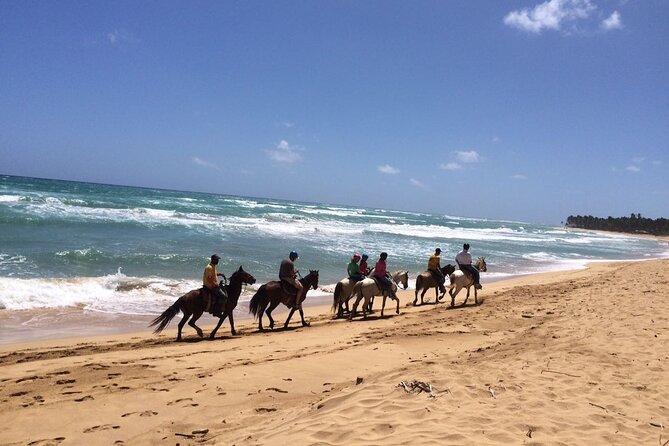 Montaña Redonda & Horseback Riding 2-in-1 Tour from Punta Cana - Who will enjoy this outing most