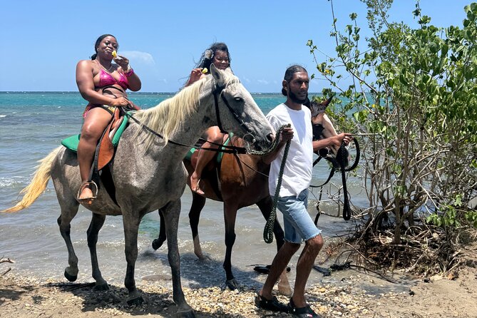 Montego Bay Beach Horseback Riding Tour - What the guides add to the experience