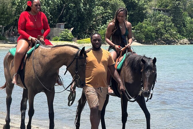 Montego Bay Beach Horseback Riding Tour - Is $80 a fair price?