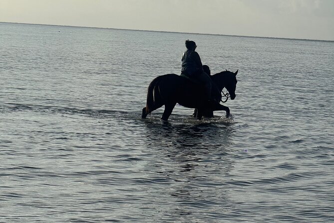 Montego Bay Beach Horseback Riding Tour - Who will enjoy this ride most