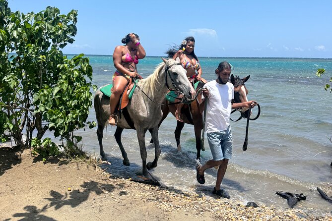 Montego Bay Beach Horseback Riding Tour - Meeting the horses at Noble House