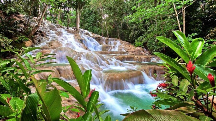 Montego Bay: Dunn's River Falls & Horseback Riding Adventure - Why this Jamaica combination works