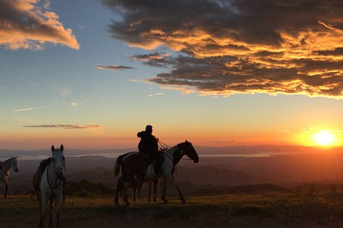 Monteverde Cloud Forest Horseback Riding - Key points to know before you ride