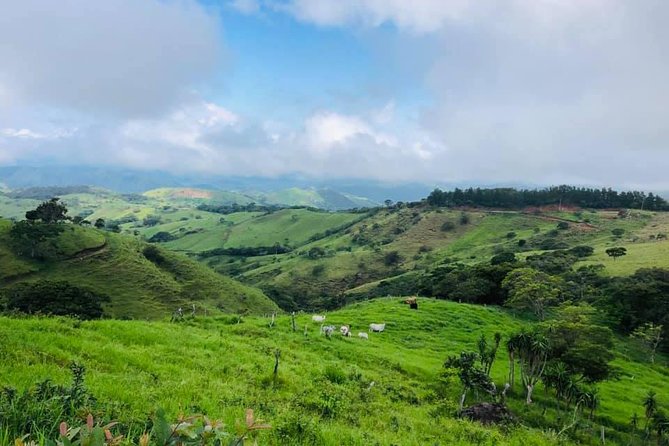 Monteverde Cloud Forest Horseback Riding - What the two-hour ride actually feels like