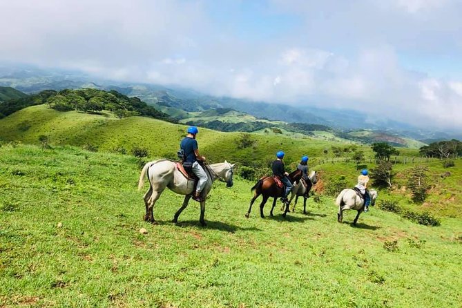 Monteverde Cloud Forest Horseback Riding - Choosing 8:00 am, 11:00 am, or 3:00 pm