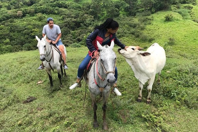 Monteverde Cloud Forest Horseback Riding - Why the guides and family setting matter