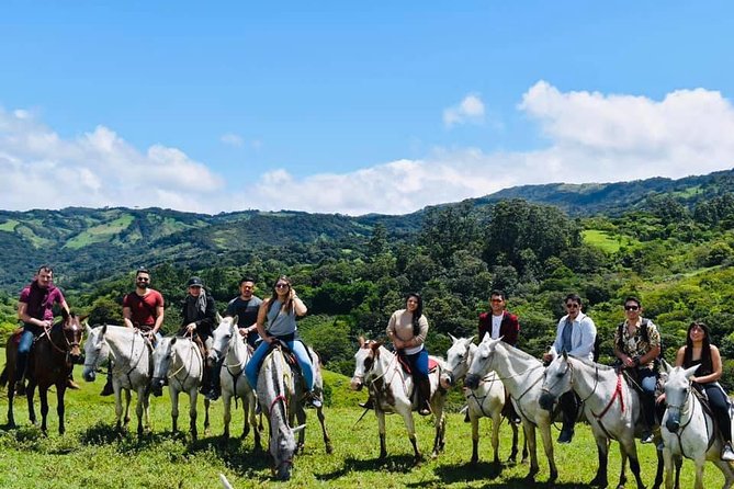 Monteverde Cloud Forest Horseback Riding - Forest, farms, and the Gulf of Nicoya