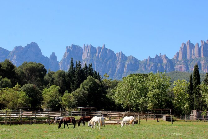 Montserrat Horseback Riding & Monastery – Small Group (Max 8) - Visiting the Basilica and Montserrat Abbey