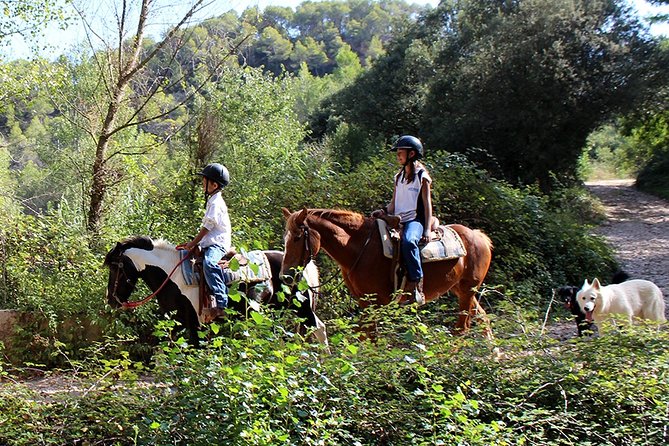 Montserrat Horseback Riding & Monastery – Small Group (Max 8) - Guides, group size, and the personal feel