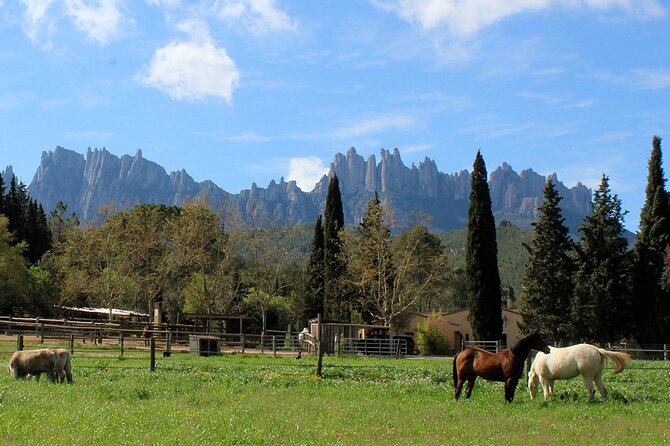 Montserrat Horseback Riding & Monastery – Small Group (Max 8) - The optional walk through Montserrat Natural Park