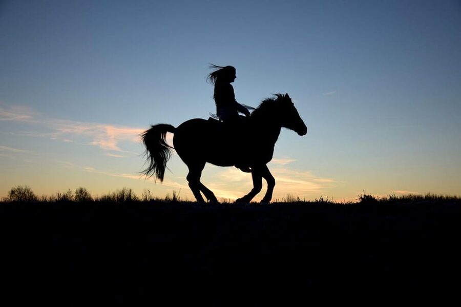Monument Valley: Horseback Adventure Tour - How the Ride Works for Beginners