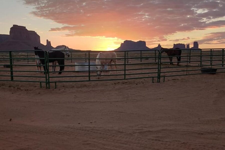 Monument Valley: Horseback Adventure Tour - Guide Quality and Cultural Context