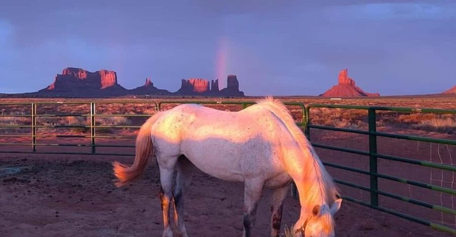 Monument Valley: Horseback Adventure Tour - Meeting the Navajo Horses