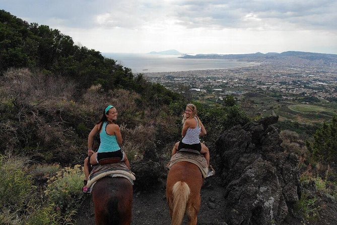 Mount Vesuvius Guided Horse Riding Tour with Sample Wine - Price, group size, and practical value