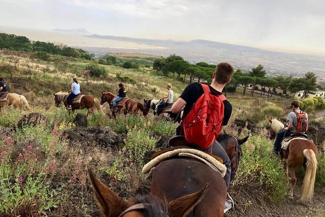 Mount Vesuvius Guided Horse Riding Tour with Sample Wine - Who should book this outing?