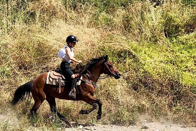 Mount Vesuvius Guided Horse Riding Tour with Sample Wine - Getting ready at the ranch