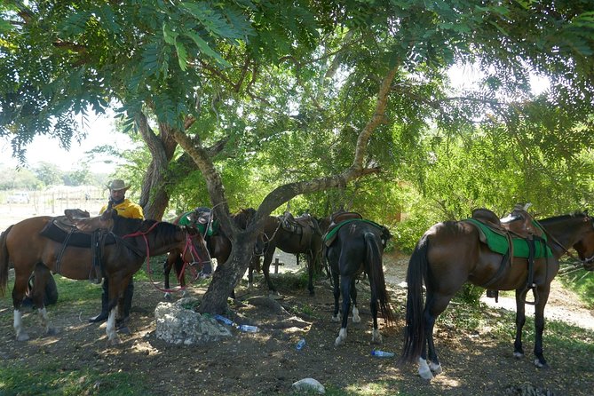 mountain horse back riding - What you get for $69
