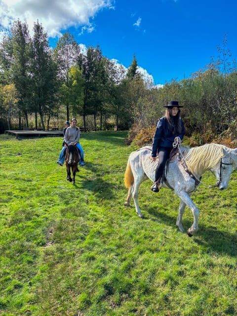 Mountain Horseback Ride & Lunch - Pickup From Lamego, Pinhão, Resende, or Peso da Régua