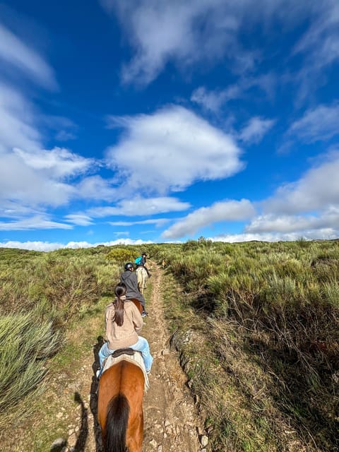 Mountain Horseback Ride & Lunch - Wine Tasting After the Ride