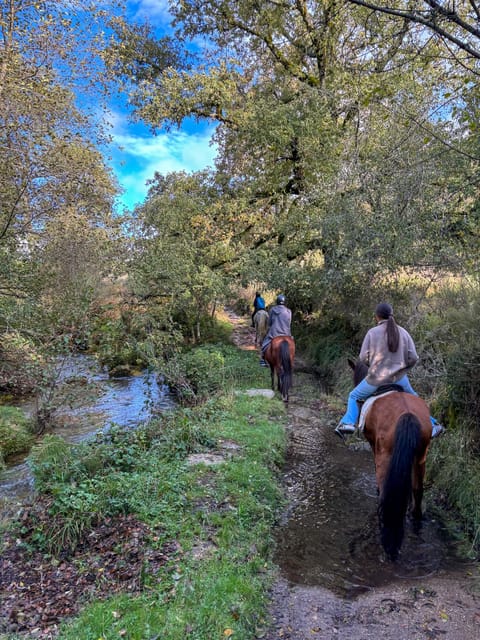 Mountain Horseback Ride & Lunch - Is $282 a Fair Price?
