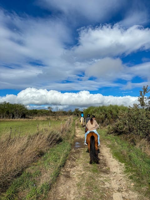 Mountain Horseback Ride & Lunch - Who Will Enjoy This Most?