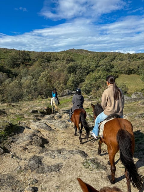 Mountain Horseback Ride & Lunch - Two Hours on Horseback Through Forest and Water