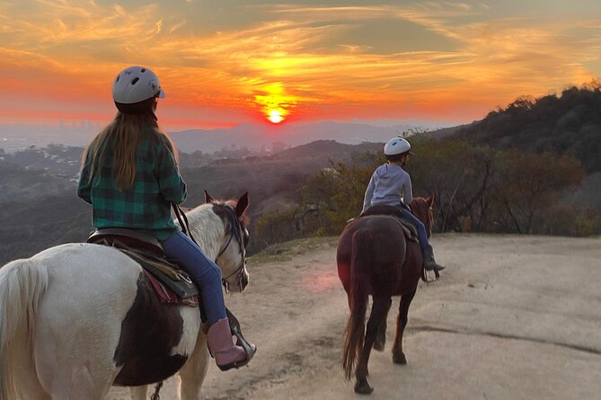 Mulholland Trail Horseback Tour - A city tour with hooves instead of traffic