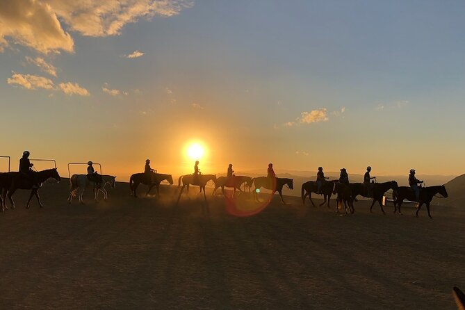 Mulholland Trail Horseback Tour - Who will enjoy this most?