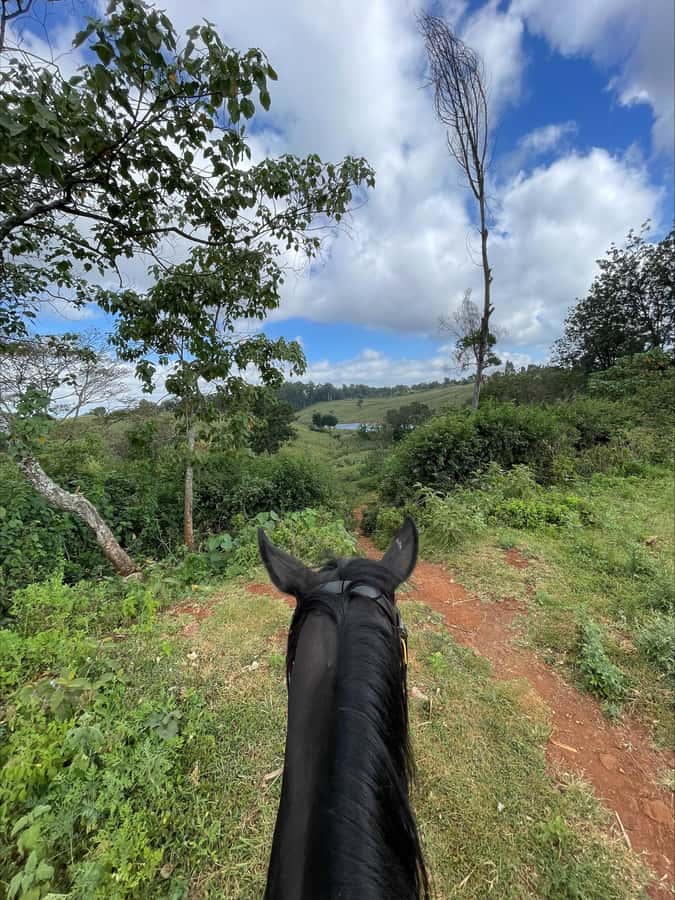 Nairobi: Horseback Riding Tour Through Maize Plantation - Forest paths and the natural dam