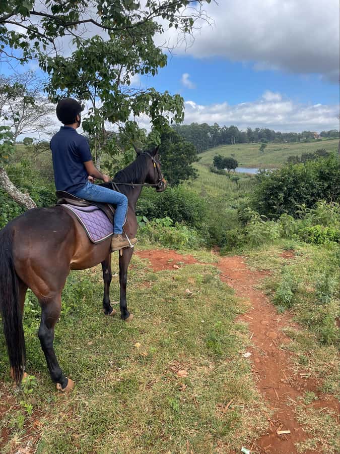 Nairobi: Horseback Riding Tour Through Maize Plantation - Through the maize plantation