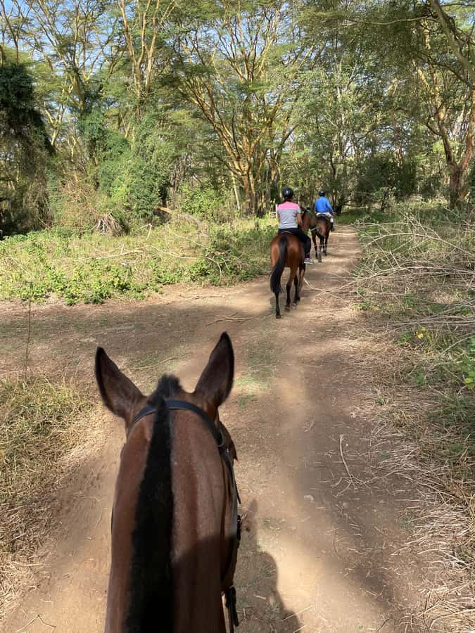 Nairobi: Karura Forest Horseback Riding Tour - Why Karura Forest works so well on horseback