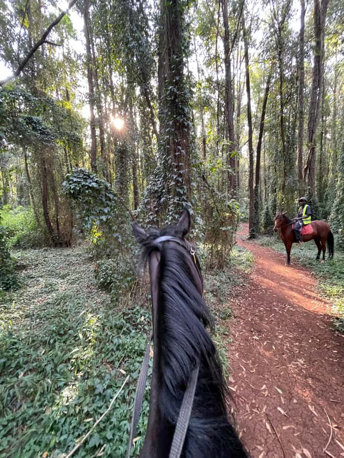 Nairobi: Karura Forest Horseback Riding Tour - The 1.5-hour route through the trees