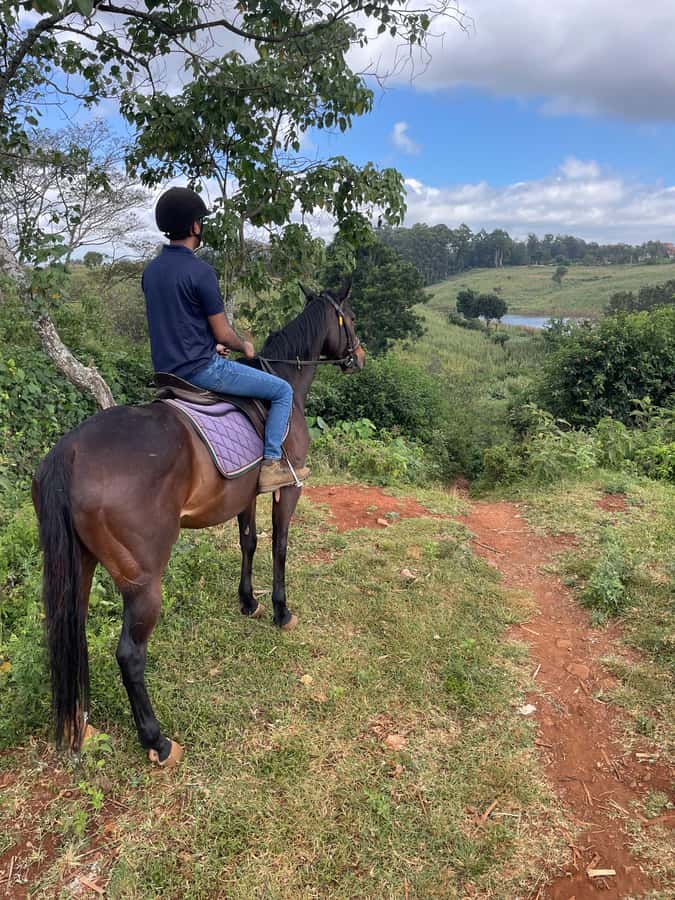 Nairobi: Karura Forest Horseback Riding Tour - Meeting your horse at Sigiria Gate