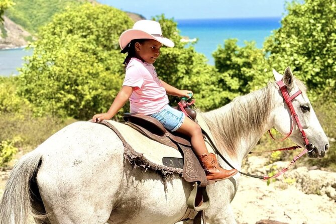 Nature & Historical Horseback Riding Tours St. Lucia - A different way to see St. Lucia’s east coast
