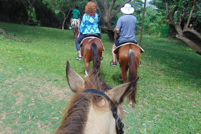 Nature & Historical Horseback Riding Tours St. Lucia - What the two hours feel like