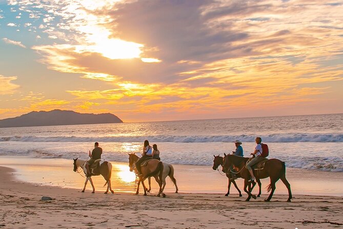 NEW!! Combo ATV & Horseback Ride. Beach & Desert. Tequila Tasting - One Hour on Horseback Through Baja