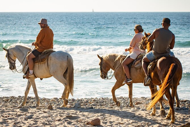 NEW!! Combo ATV & Horseback Ride. Beach & Desert. Tequila Tasting - Tequila Tasting: Confirm the Details Before You Go