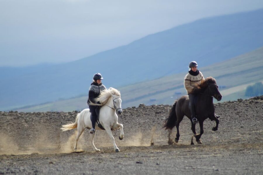 North Iceland: Horseback Riding Tour - Key points at a glance
