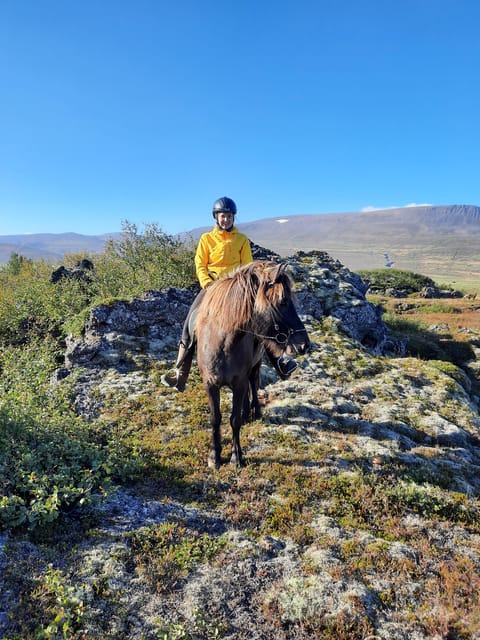 North Iceland: Horseback Riding Tour - Trying the tölt on an Icelandic horse