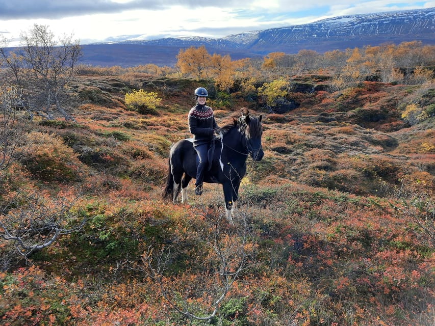 North Iceland: Horseback Riding Tour - Why the $141 price can make sense