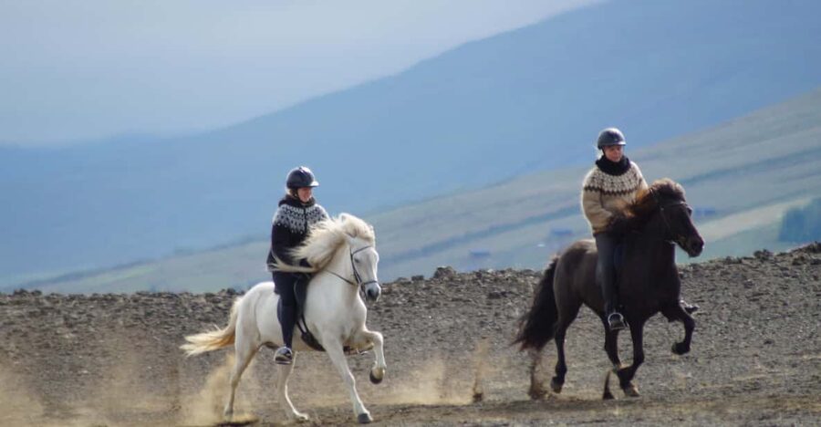 North Iceland: Horseback Riding Tour - Down to the river through farm fields